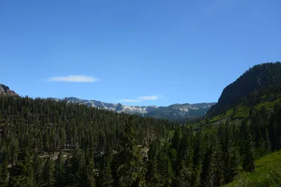 DSC_0072 (Large).JPG